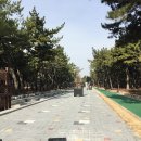 송림테마거리 이미지