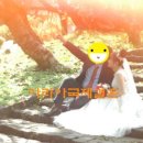 아리아국제결혼
