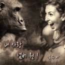 김주아 카카오 검색결과