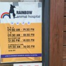 레인보우동물병원 이미지