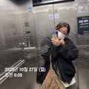 온애 | 자유부인으로 살아보기