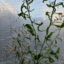 가을농장 이미지