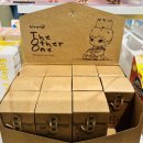 디아더원(The other one)