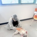 유지네 애견미용샵 이미지