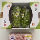 웰빙식자재마트 | 시흥 능곡동 대형마트_웰빙마켓 공구마트