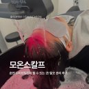 우두1길 1R | [모온스칼프] 춘천 탈모, 두피관리의 신세계! 우두동 헤드스파 추천 찐후기