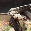 경기도 수원시 영통구 청명남로28길 | [수산장 수원 영통점] 수원에서 유일한 쭈꾸미 샤브...수 있는 이자카야 / 세 명이서 6가지 안주 뿌신 후기