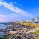 씨유제주메르블루점 | 제주도 호텔 메르블루 제주 서울부티크가성비체험후기