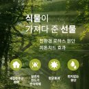 더헤리티지원단