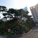 환상의바다리조트C동 이미지