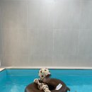 퐁당 키즈 | 전남 나주 구공스테이 퐁당 광주 근교 키즈 풀빌라 내돈내산 후기