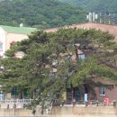 큰솔모텔 이미지