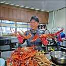 울진마트 | 국내 맛집여행 울진대게 백암대게회마트 오션뷰 카페 울진대게빵 울진여행