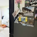 철원군청대여소 | 신혼부부 겨울 루틴｜한탄강 물윗길 5km 트레킹 후 집으로 돌아온 하루