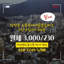 캐슬랜드공인중개사사무소 이미지