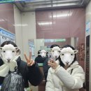 다미민박 이미지