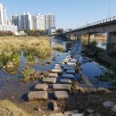 영천강변체육공원주차장 이미지