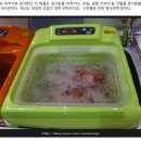 글로벌야채과일 이미지
