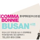 슈콤마보니서면