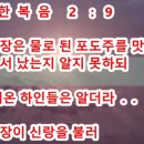 평안 Daum카페