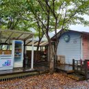 ⛺ 가평 홀리데이캠프캠핑장 [ 수도권 근교 소규모 캠핑장 추천 ] - 가평 캠핑장, 소규모 캠핑장