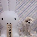 환해지개 이미지