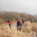 에이코스 이미지