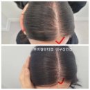 루비셀샵 이미지