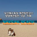 에센시아 | 양양 애견동반 여행코스 | 강아지랑 낙산해수욕장 뽕마루 식당, 에센시아 카페 후기