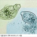 파동한의원 이미지