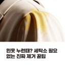 강화세탁소 | 흰옷 누런때? 세탁소 필요 없는 진짜 제거 꿀팁