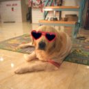 애니몰하우스 이미지