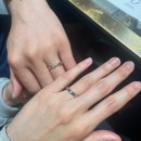 웨딩밴드 구입💍 | 샤넬, 불가리, 티파니 그리고 까르띠에 반지 비교(신세계백화점 상품권 구입 꿀팁)