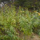 우리집농장 이미지