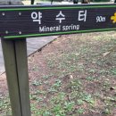 제주절물자연휴양림 이미지