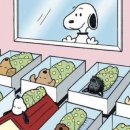 가율 산후조리원 | [강동/가율 산후조리원] 구순구개 베이비 성지 조리원 1편 - 계약, 상담, 가격 공유