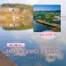 호수와소나무스파펜션 | <태안 호수와바다 스파펜션> 저수지 낚시와 힐링을 한 번에 즐길 수 있는 태안 숙소 추천
