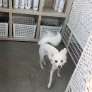 그루밍솔루션 구로점 이미지