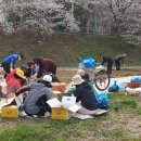 학의천변 이미지