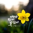 [야간] 캘리그라피 이미지