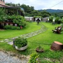 브리지데이 이미지