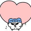 미스터낙곱새 이미지