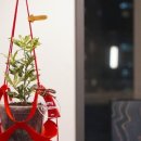 댕글라이프 이미지