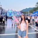 뮤직랜드 노래연습장 | 2025 카스쿨페스티벌 후기 CASSCOOL 맥주 뮤직페스티벌 추천 과천 서울랜드 물놀이 여름 축제