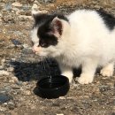 센바이오 이미지