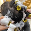 대박살롱 이미지