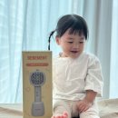 데일먼트