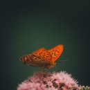 연촌초등학교 이미지