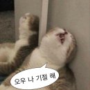 중촌육교 아래 공중화장실 | 마카오 당일치기