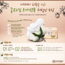 편한느낌